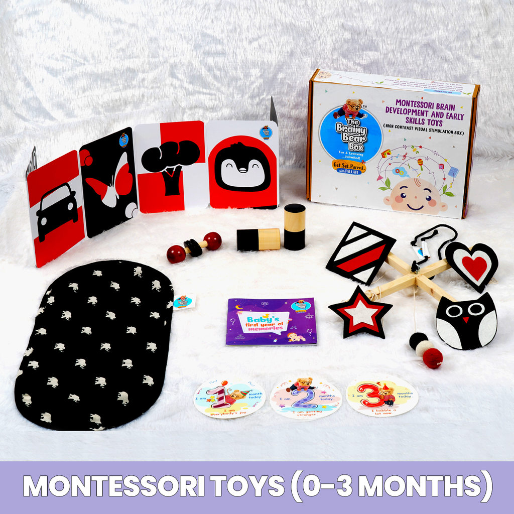 Monthly Montessori and Brain Development Toys  (0-2 Years)