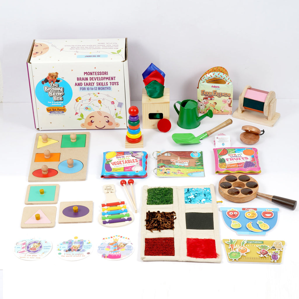 Montessori & Brain Development Toys for 10-12 Months