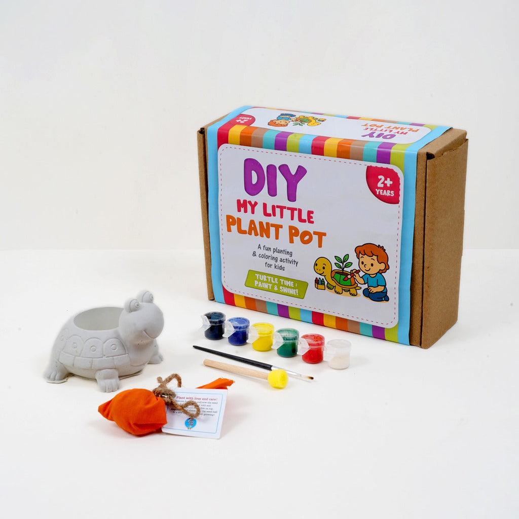 DIY My Little Plant Pot -  Turtle time : Paint and Shine