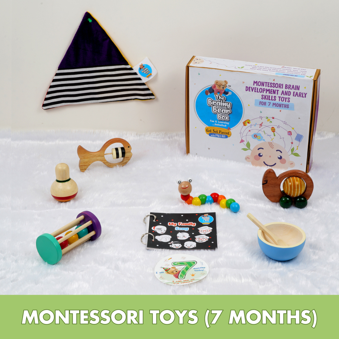 Montessori Activity Toys for 7 months