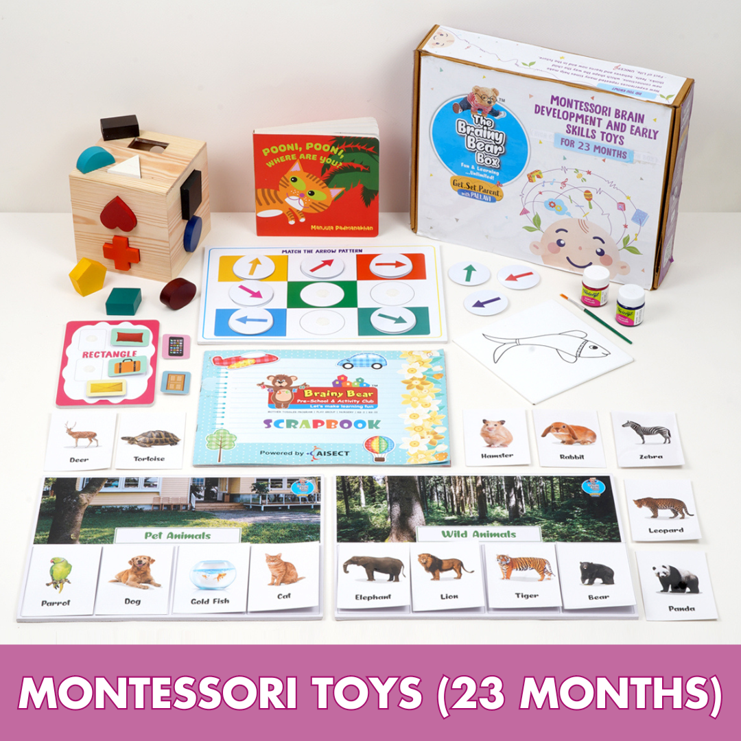 Montessori Activity Toys for 23 Months