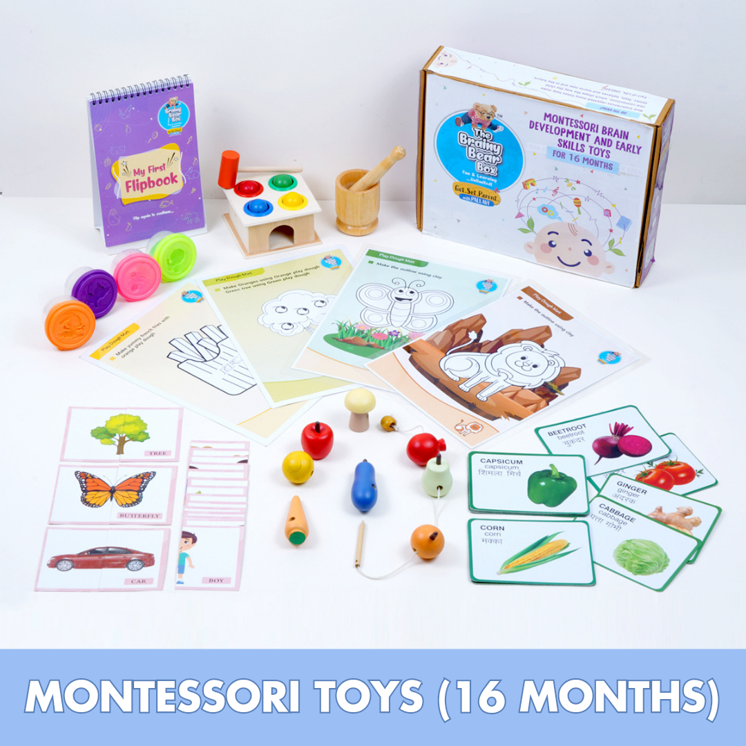 Montessori Activity Toys for 16 Months