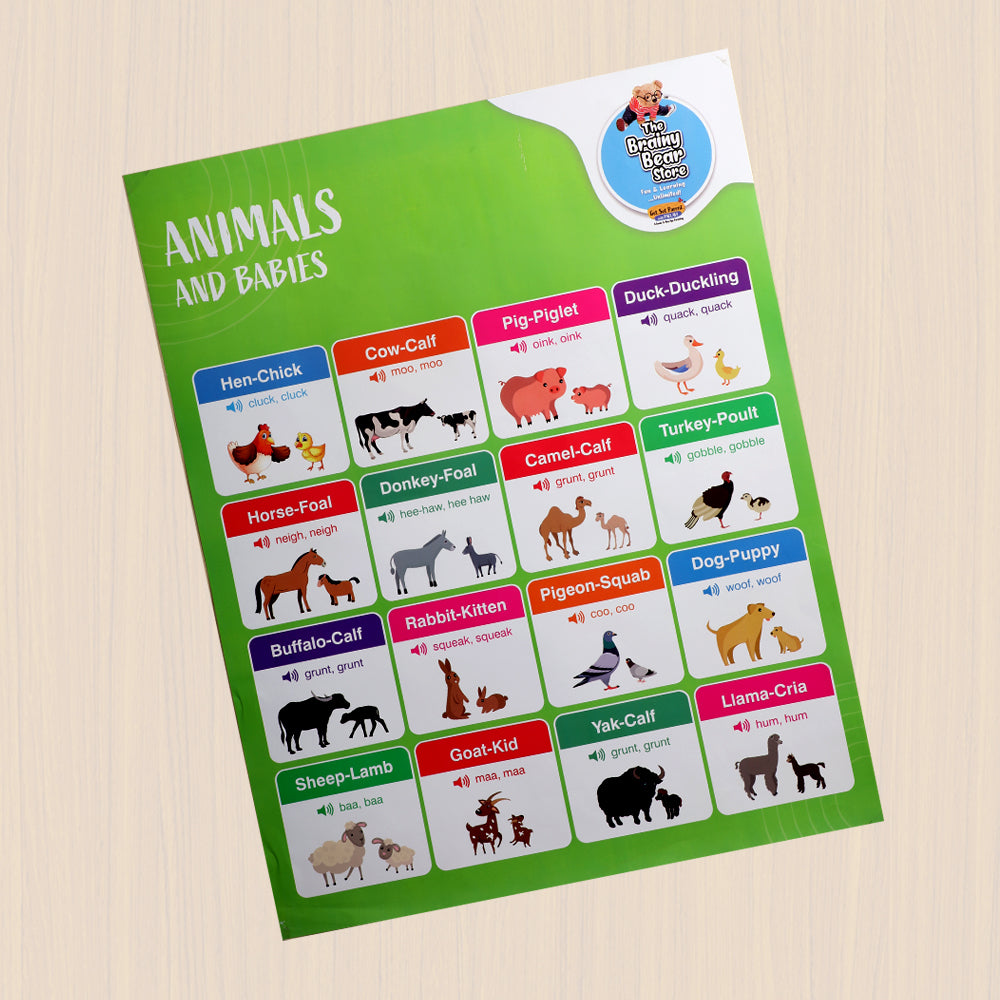 Educational Charts
