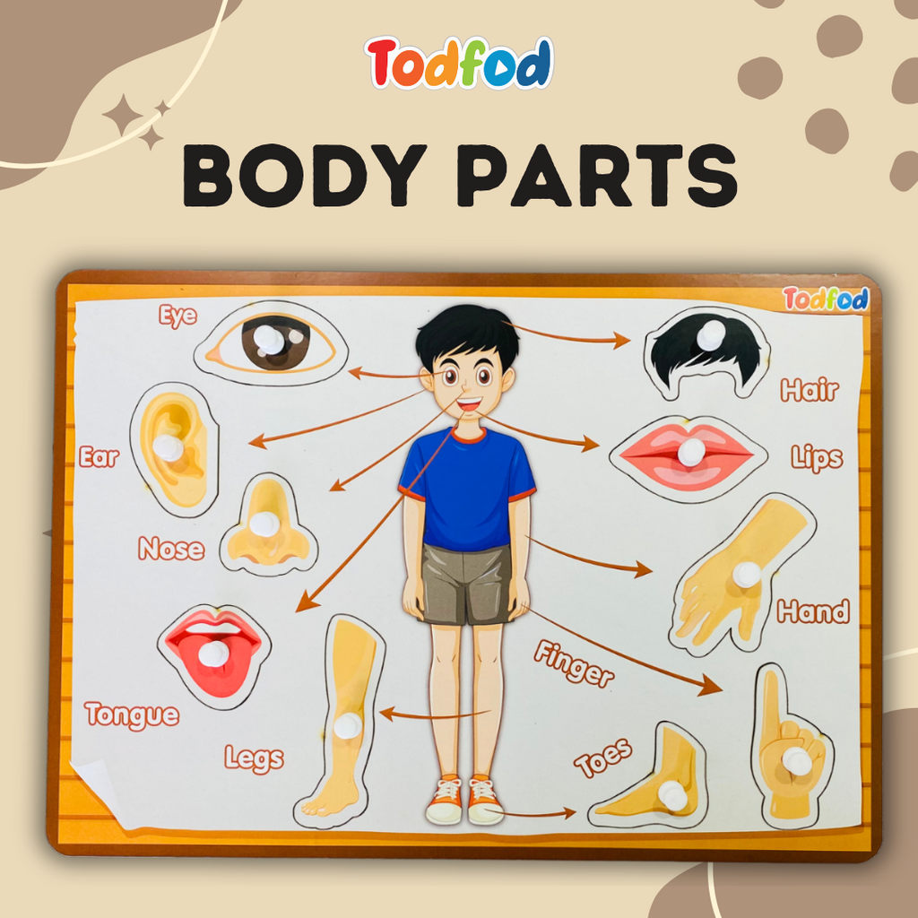 Wild Animal & Body Parts Characters Knob & Pegged Puzzle for Kids