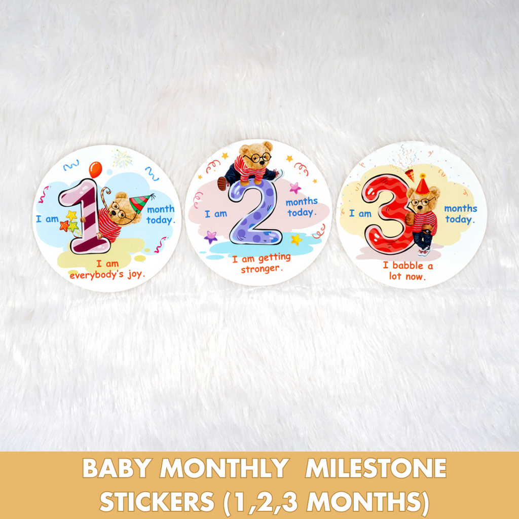 Montessori Activity Toys for 0-3 Months