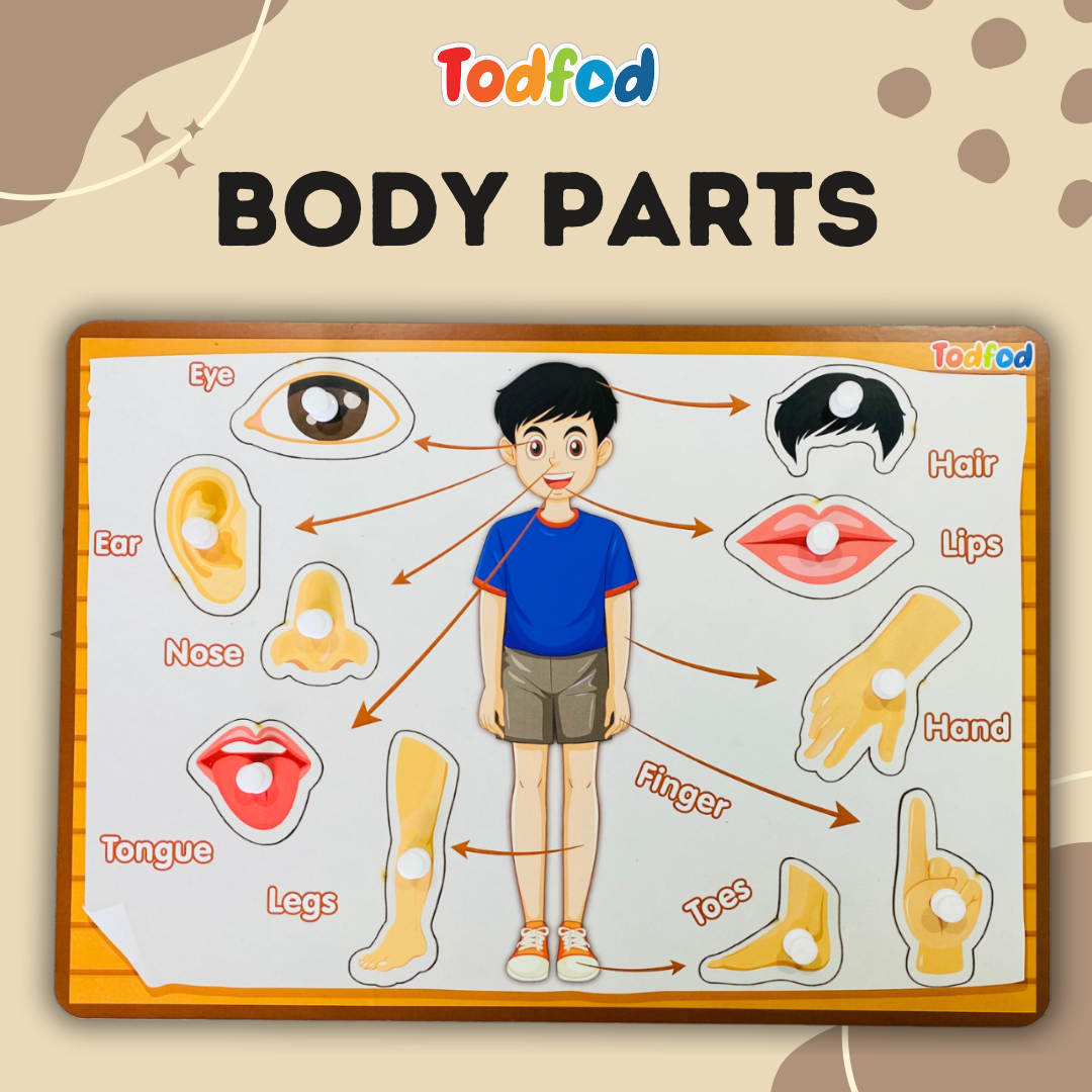 Vegetable & Body Parts Characters Knob & Pegged Puzzle for Kids