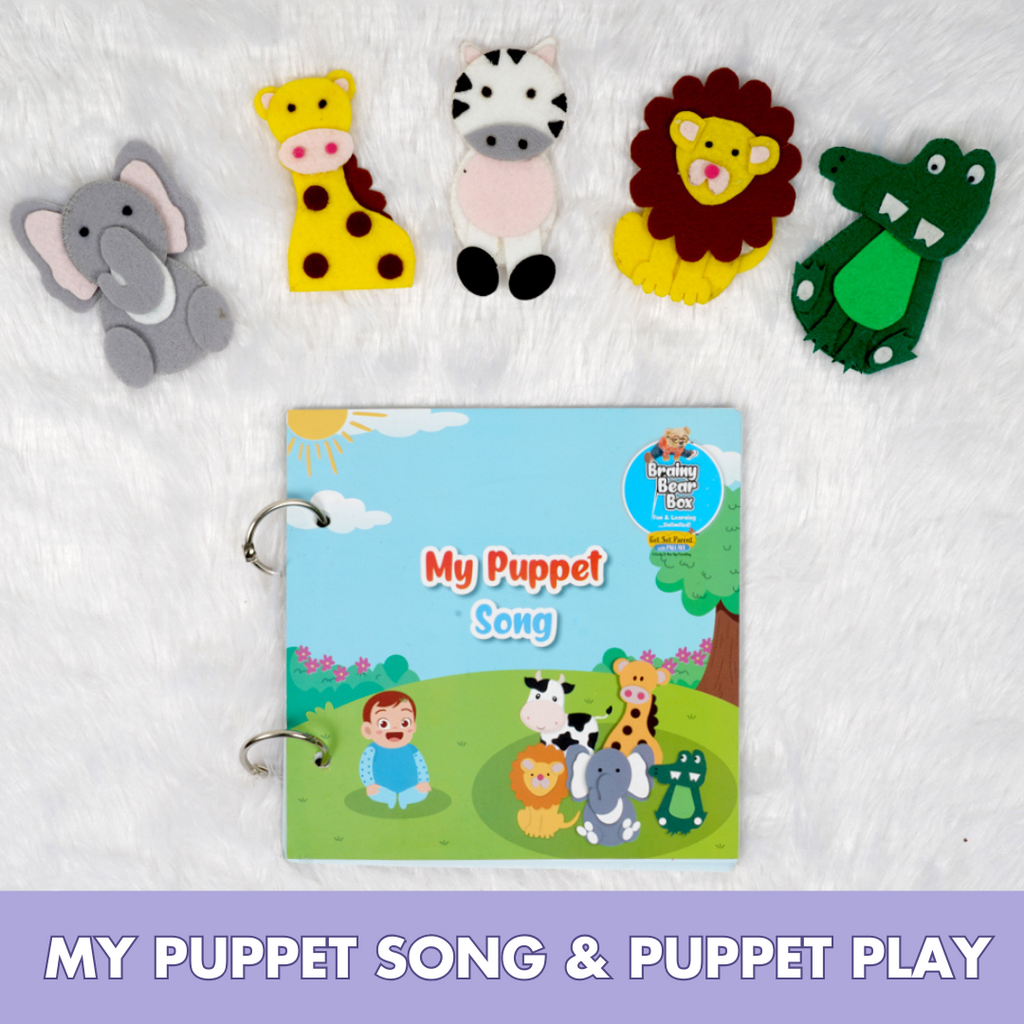 Montessori Activity Toys for 9 Months
