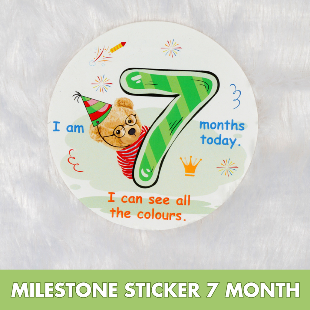 Montessori Activity Toys for 7 months