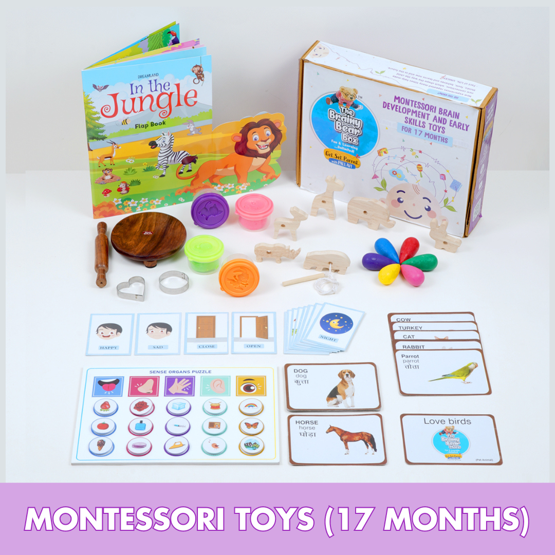 Montessori Activity Toys for 17 Months