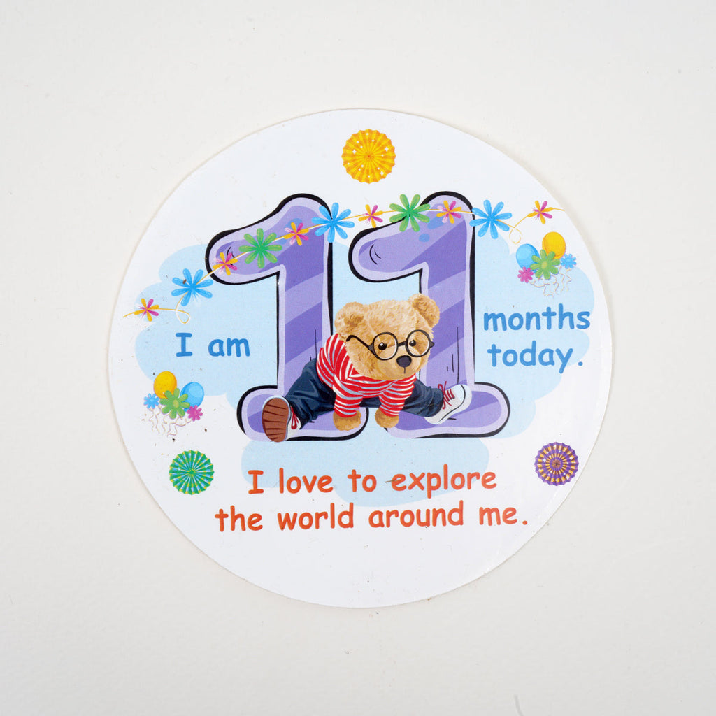 Montessori & Brain Development Toys for 10-12 Months