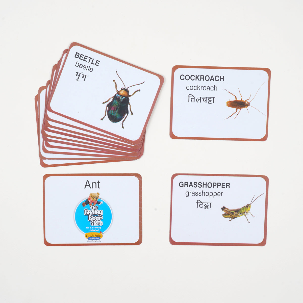 Montessori & Brain Development Toys for 19-21 Months