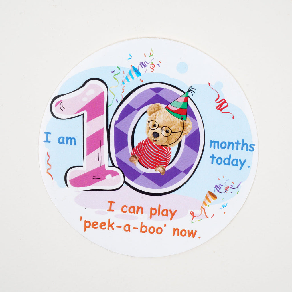 Montessori & Brain Development Toys for 10-12 Months