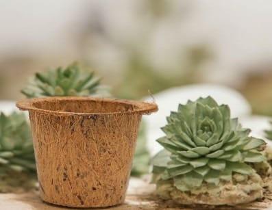 DIY Gardening Kit – Kids Gardening Set for Fun Plant Growing