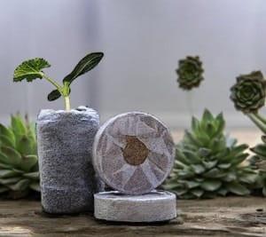 DIY Gardening Kit – Kids Gardening Set for Fun Plant Growing
